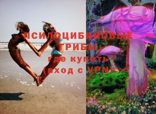 mix Новодвинск