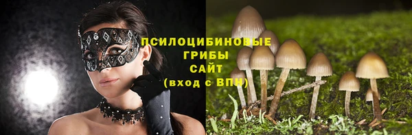 mix Новодвинск