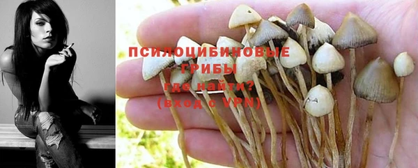 mix Новодвинск