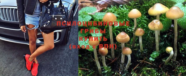 а пвп мука Новозыбков