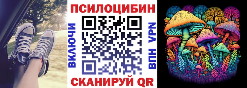 Галлюциногенные грибы мицелий  купить наркоту  Казань 