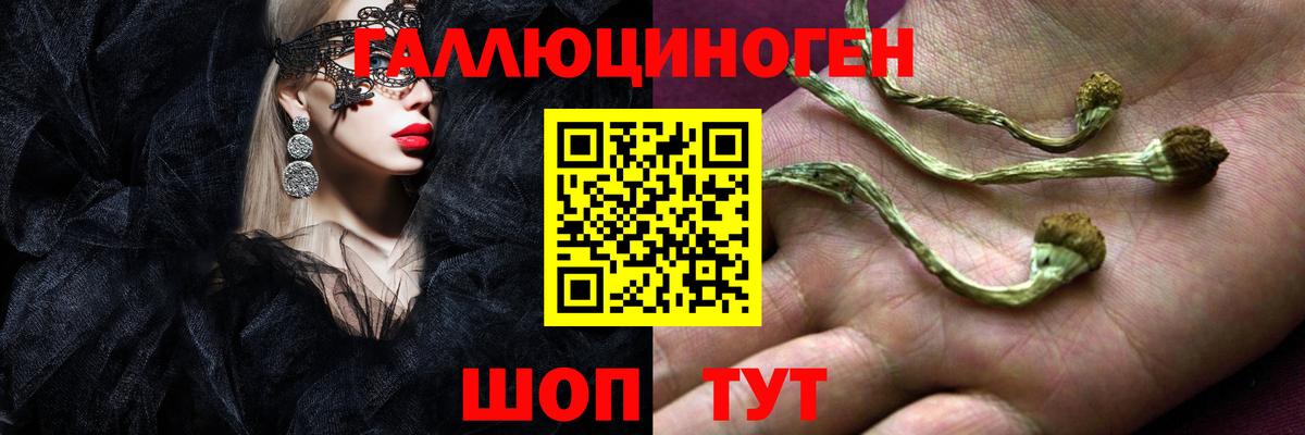 Псилоцибиновые грибы Psilocybe  дарнет шоп  Казань 